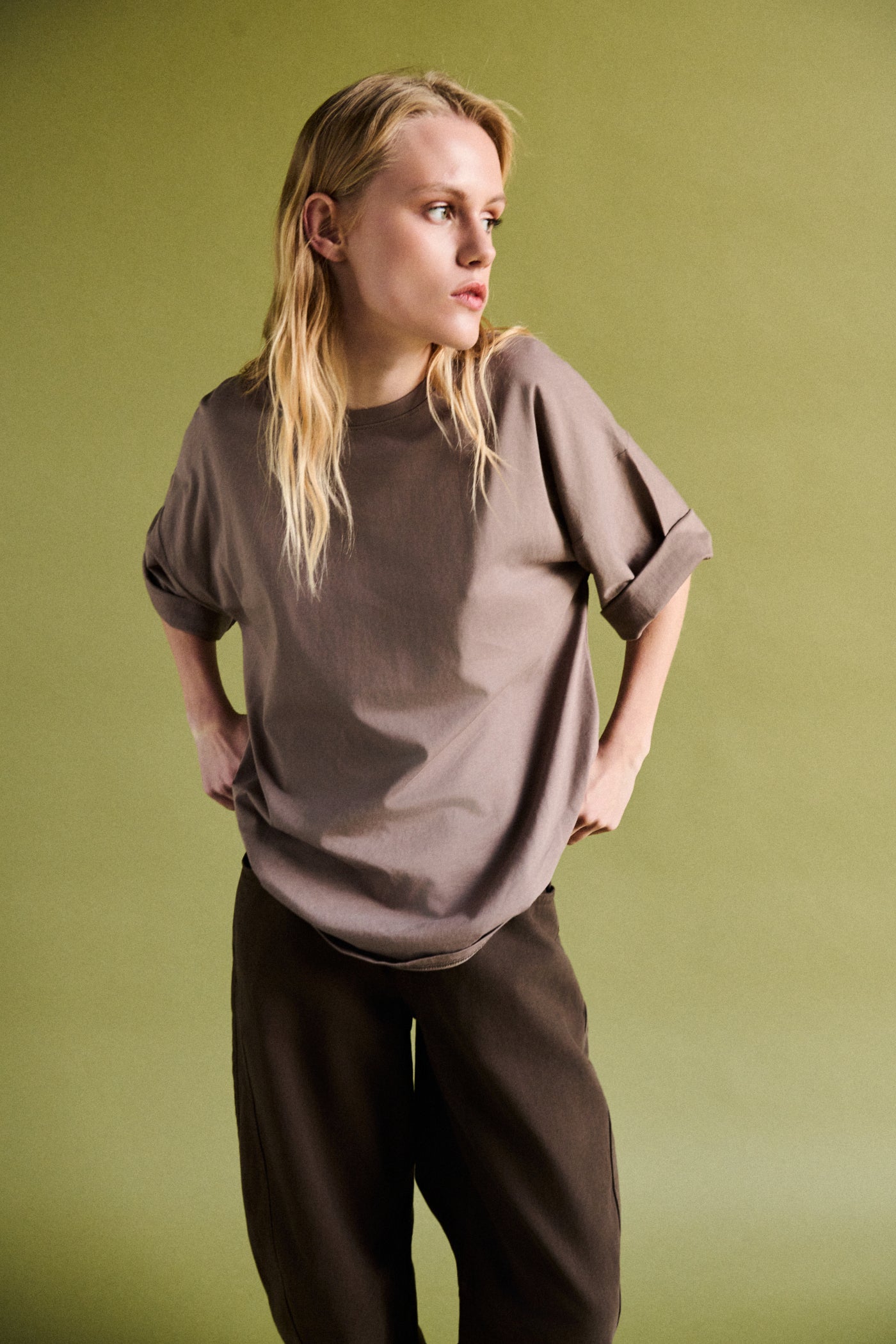 T shirt regular fit - TORTORA