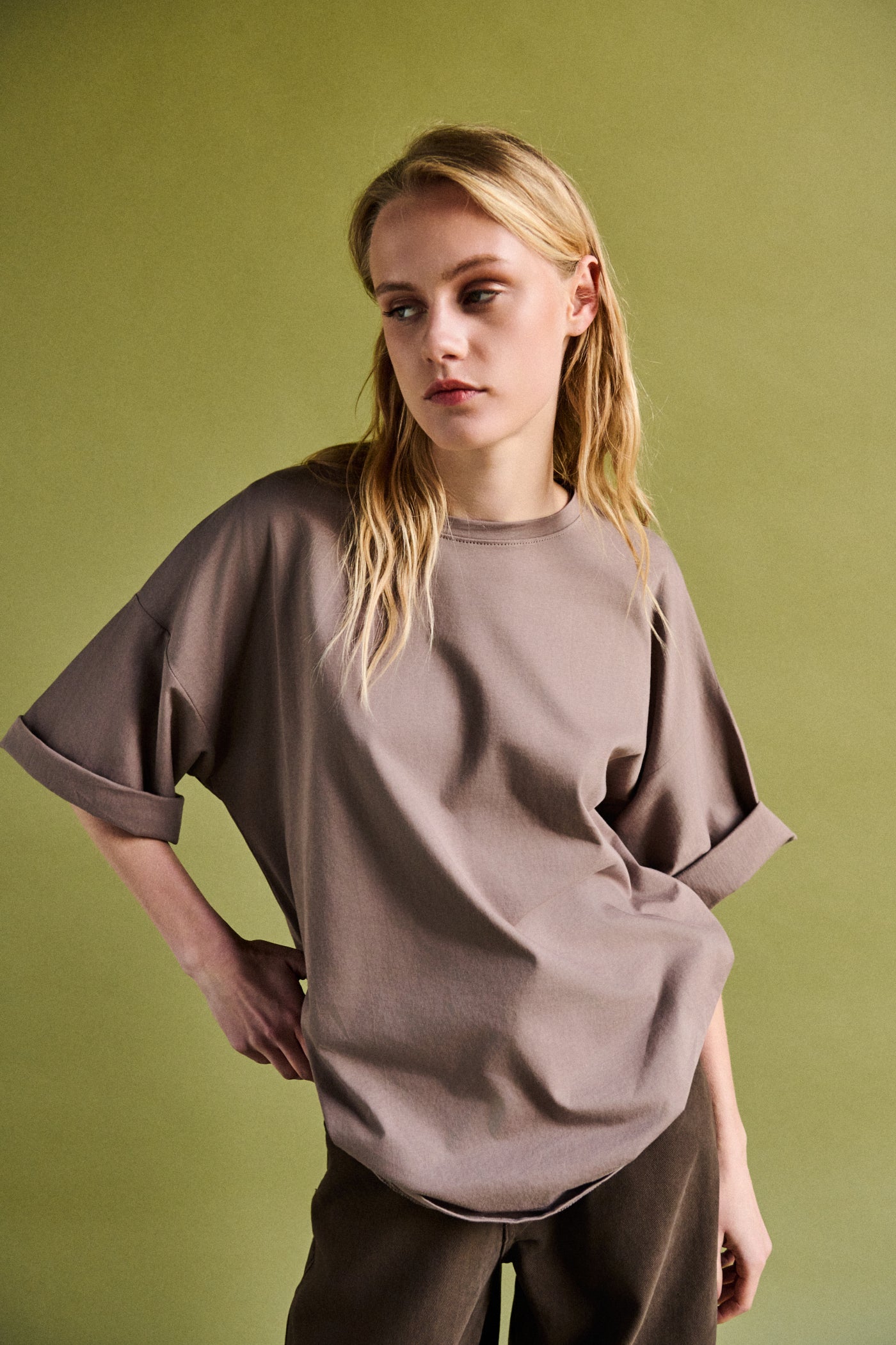 T shirt regular fit - TORTORA
